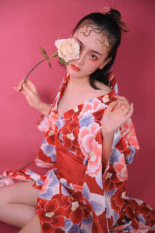 黄飞鸿之一代宗师